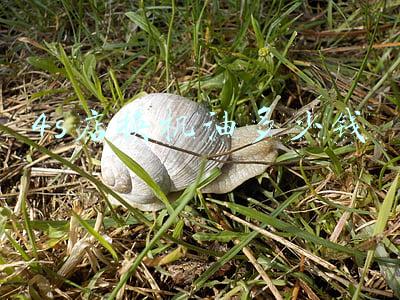 4s店换一次机油多少钱(一般4s店换机油多少钱)