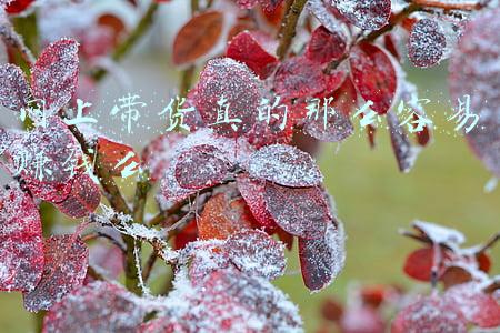 带货为什么那么赚钱(雪梨、林珊珊被追缴税款，直播带货为啥能那么赚钱？)