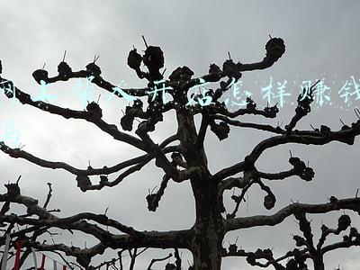 帮开店的真吗(男子开店帮人劝退“小三”还帮复婚，称“生意还可以”？)