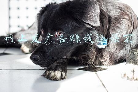 网上发广告赚钱违法不