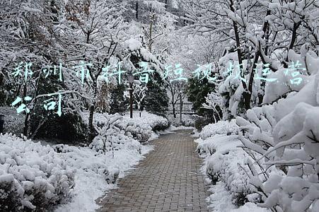 郑州市地铁运营时间(缩短行车间隔！郑州地铁最新首末班时刻表来了)