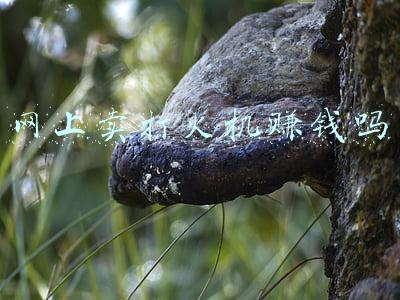 哪有打火机散件卖(“草根”到“顶流”⑦丨一只打火机，“点燃”全球市场)