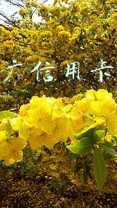 网上推广信用卡和贷款赚钱