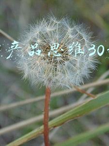 梁宁产品思维30讲运营