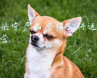 梁宁产品思维30讲运营