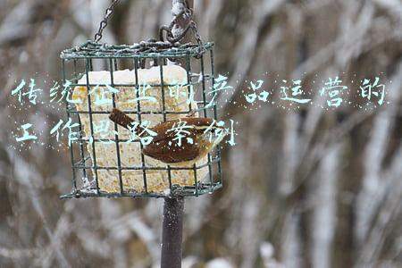 传统企业的产品运营的工作思路案例