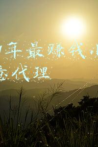 2021年最赚钱公司(2021哪家企业最赚钱：国家电网超2万亿！中国烟草排不上？)
