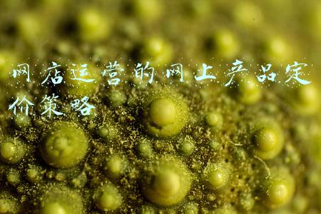 网店运营的网上产品定价策略