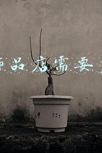 开个饰品店需要多少钱
