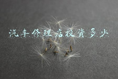 投资汽车保养维修店需要多少钱 汽车修理店需要投资多少钱