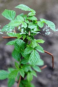 怎样在淘宝上运营好一样产品(淘内不同产品的不同运营思路)