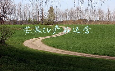 芒果tv平台运营中心(全景式揭秘芒果超媒人员架构和财务模型)