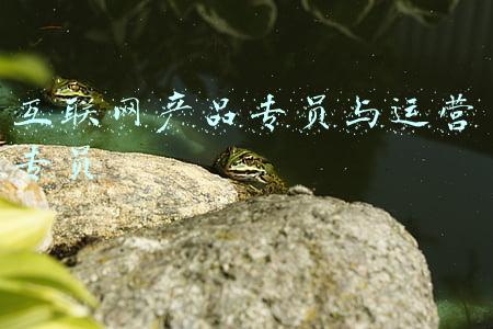 互联网招聘专员(招聘893人！快来看看有没有适合你的岗位)