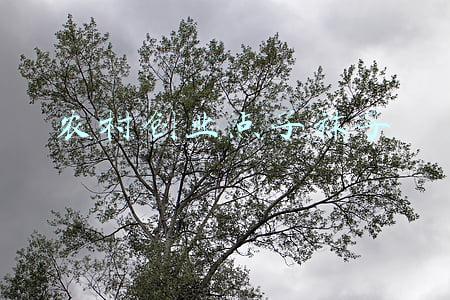 袜子生意成功案例(广州美女摆地摊，靠着卖袜子一年狂赚73万，看看人家的赚钱方法)