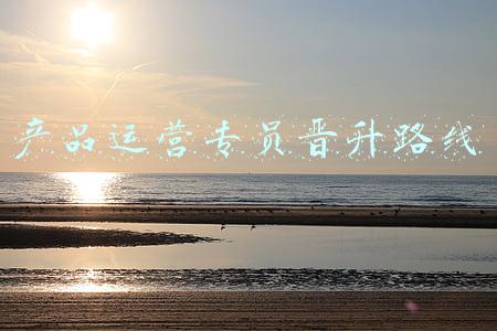 运营专员晋升方向(领导重用你的4个苗头，高人才能看破)