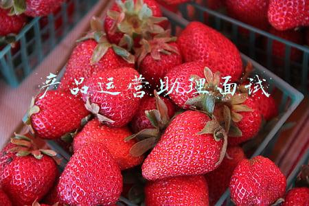 产品运营助理面试