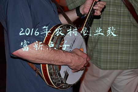 2016年农村创业致富新点子
