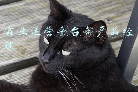 商业运营平台部产品经理