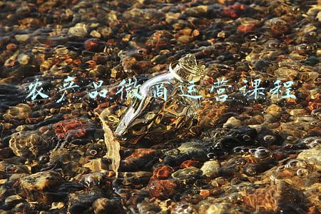 农产品微商运营课程