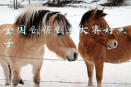 创新创业大赛怎么做(大一学生要参加互联网创新创业大赛该如何入手)
