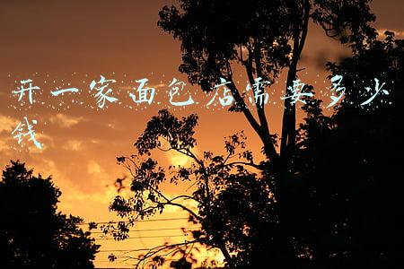 开面包店需要多少钱投资视频:开面包店需要多少钱