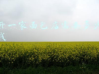 开面包店多少钱;开面包店需要多少钱