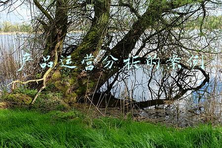 产品运营分析的案例