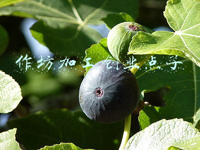 如何开加工小作坊(55岁的人，想在农村开办小型加工厂，哪些项目投资少、见效快？)