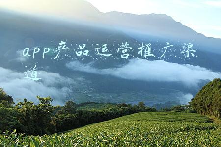 app广告推广渠道(应用推广的常见渠道是什么)