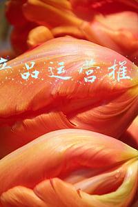 app产品运营推广渠道