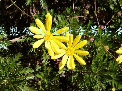 美食抖音怎么拍摄的(同样拍美食类抖音短视频，凭什么他能获得70W+点赞量？)