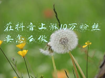 在抖音上涨10万粉丝要怎么做