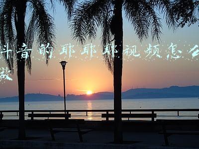 耶耶耶视频(耶耶耶，终于集齐了)