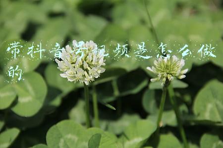抖音带货短视频怎么做(抖音没有2000万粉，也能月入10万，短视频带货到底怎么玩)