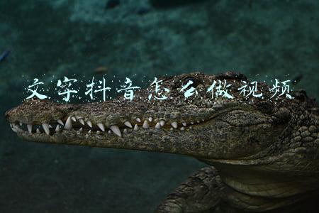 文字抖音怎么做视频