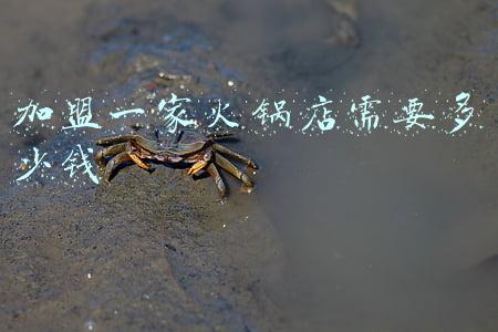 加盟火锅店要多少钱，火锅店加盟费大概多少
