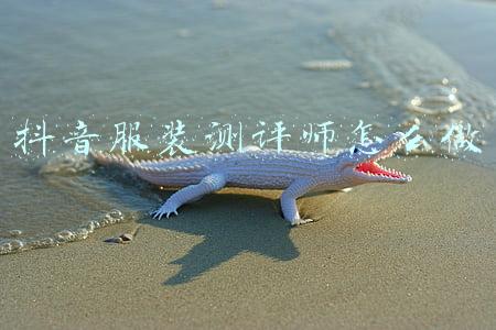 服装测评师怎么做(服装检测怎么做，有哪些标准和检测项目)