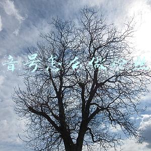 抖音号怎么建粉丝群(粗暴做抖音的时代过去了，手把手教你做抖音私域)