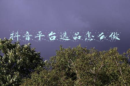 抖音平台选品怎么做