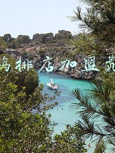正新鸡排加盟费多少啊-正新鸡排加盟费用大概是多少