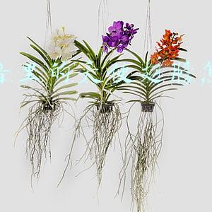 抖音里的天使翅膀怎么做