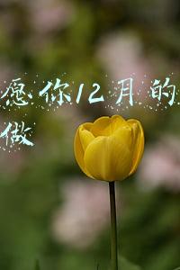 12月的抖音说说(最近特别火的抖音句子，很走心，适合发朋友圈)