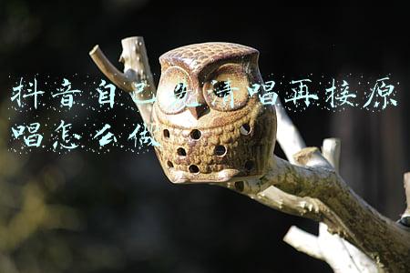 抖音自己先清唱再接原唱怎么做