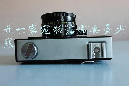 宠物店价格 宠物店价格表