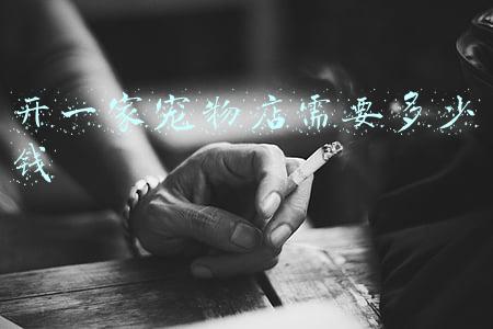 开一家宠物店需要多少钱《投资一个宠物店需要多少钱》