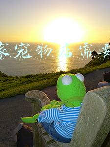 开个宠物店需要多少钱,在县城开个宠物店需要多少钱