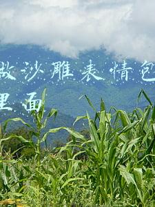 图片沙雕表情包(沙雕搞笑图片 不开心的时候来看看吧)
