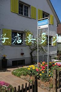 我想开个包子店需要多少钱,开一个包子店要多少钱