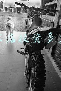 开家汽车美容店投资多少钱《开家汽车美容店大概投资多少?》