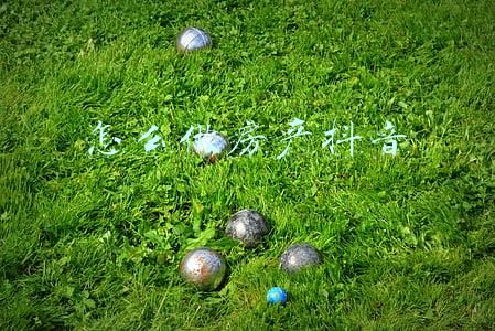 抖音房产号怎么做(做房产，为什么一定要做房产自媒体号)